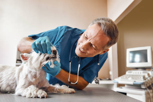 Best Weekend Emergency Dentist in Glendale, MO