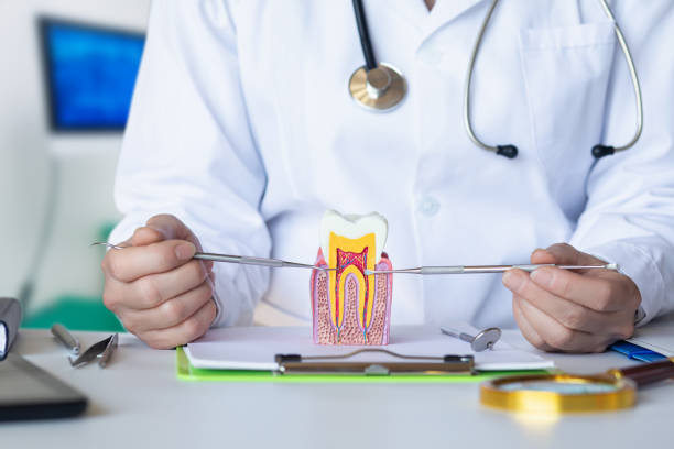 Best Pediatric Emergency Dentist in Glendale, MO